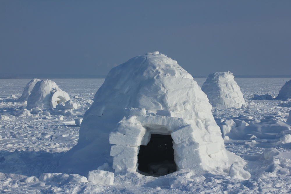 Did you know that Eskimos have more than one word for snow?