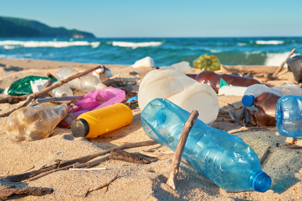 Reduce Waste To Save Money And The Environment Every Year