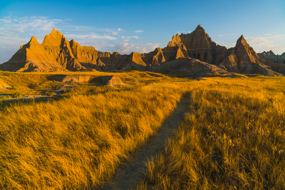Exploring the Diversity of Deserts: From Rock to Ic