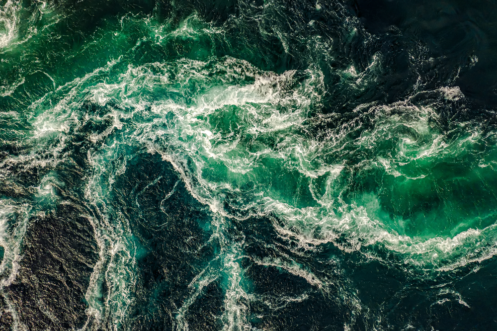 Understanding the Importance of Phytoplankton and the Threats to their Ecosystem