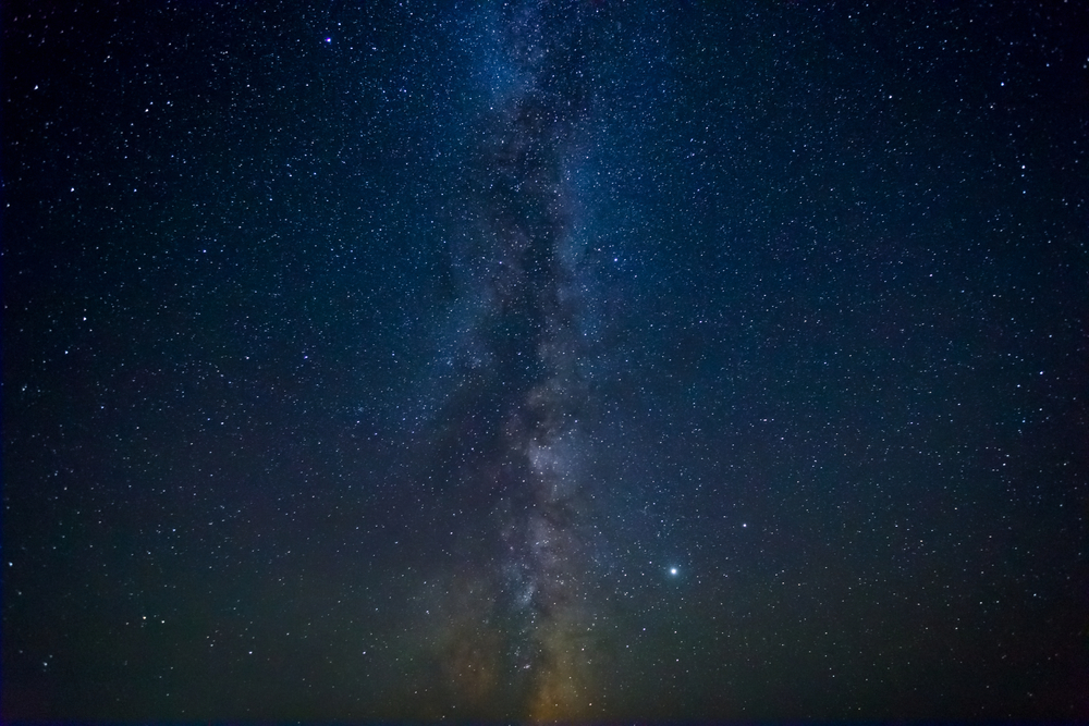 Exploring the Vastness and Diversity of Nature: A Comparison of Trees on Earth and Stars in the Milky Way