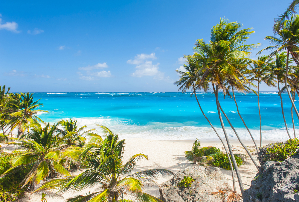 5 Ultimate and fun things to do when you are in Barbados