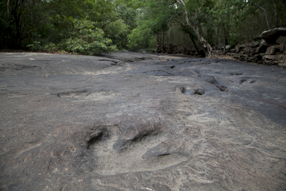Utah tourists throwing dino footprints into a lake just for the sake of fun