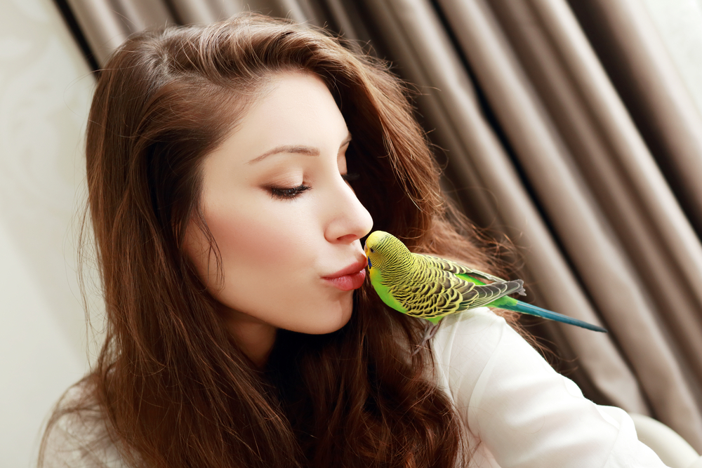 The importance of emotional support animals