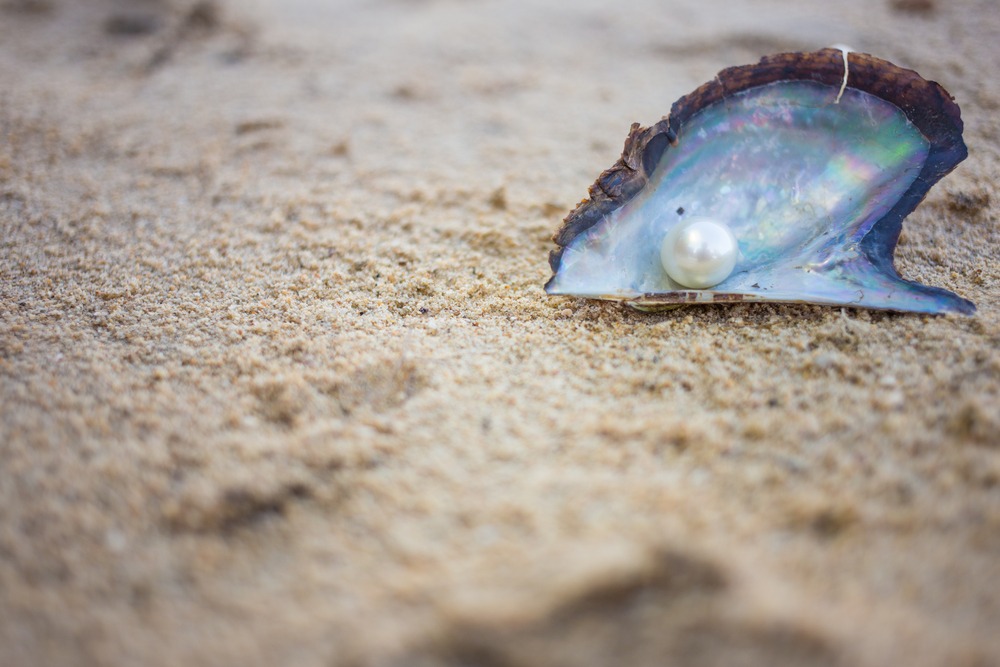 Why a pearl pops out from the oysters?