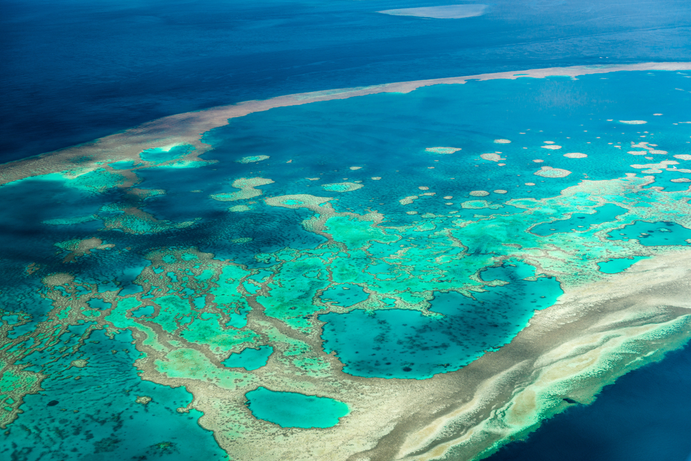 The Great Barrier Reef the World’s Largest Living Structure and an Ecological Wonder”