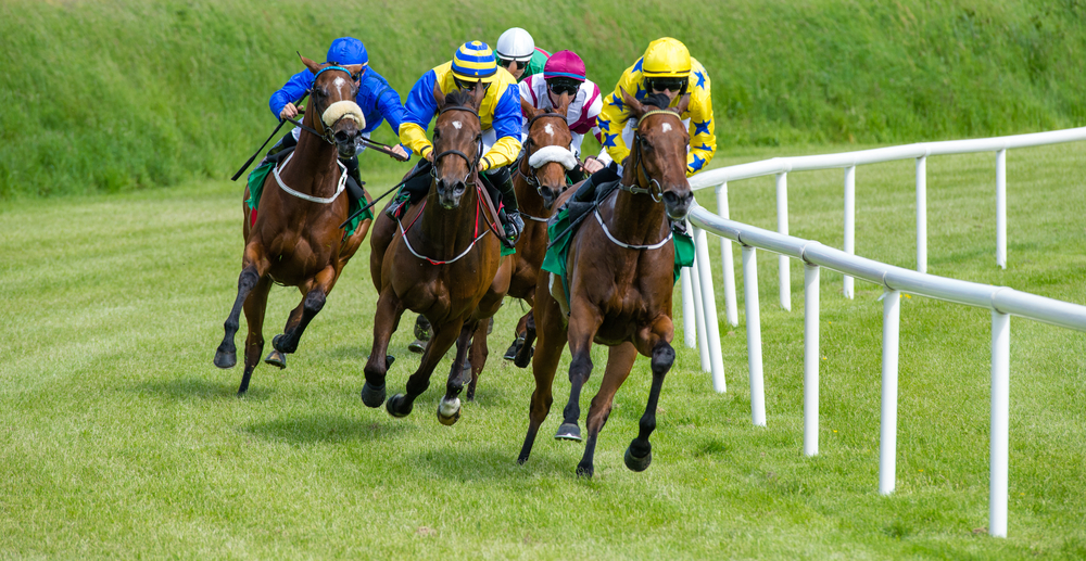 Why do racehorses have such weird names?