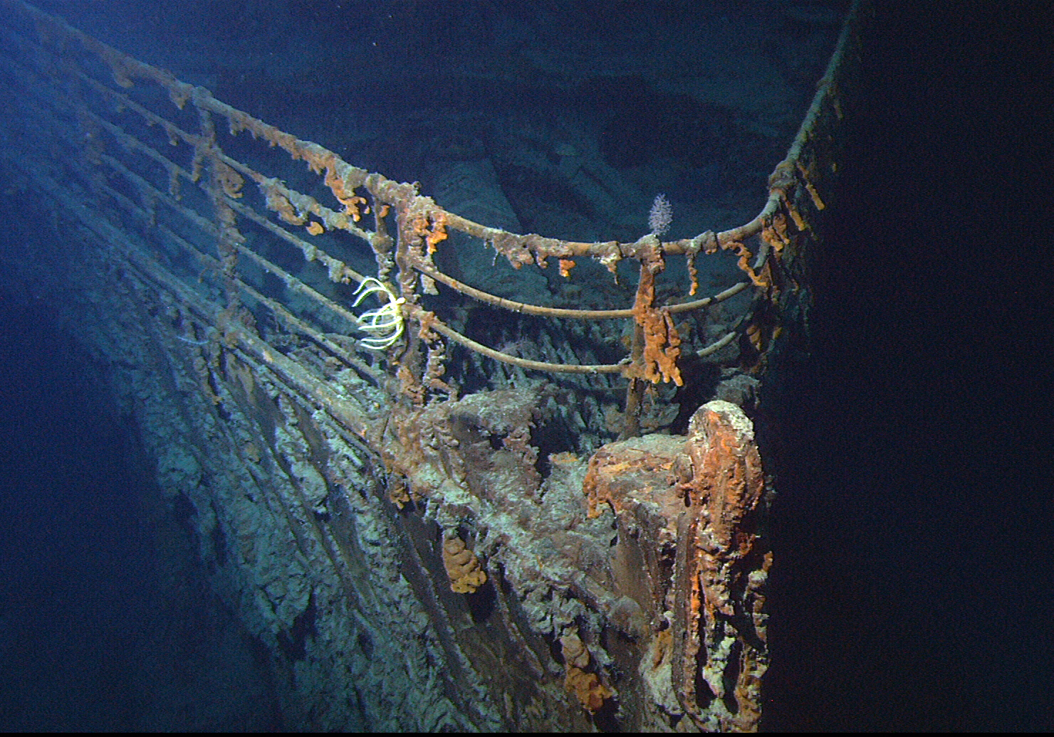 The Titanic wreck is being eaten and soon will be gone forever